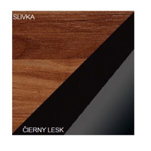 ArtCross Vitrína MAMBA | MAM 06 Farba: Slivka / čierny lesk