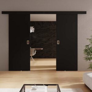 KIER Posuvné dvere WERDI DUO | 172 cm Farba: Čierna