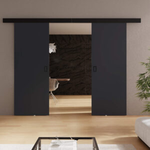 KIER Posuvné dvere WERDI DUO | 212 cm Farba: Grafit