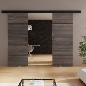 KIER Posuvné dvere WERDI DUO PLUS | 192 cm Farba: jaseň tmavý