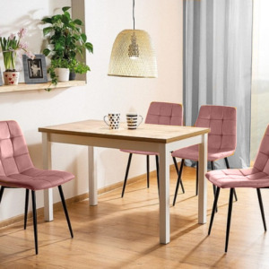 Elvisia Jedálenský set EVAN | 4+1