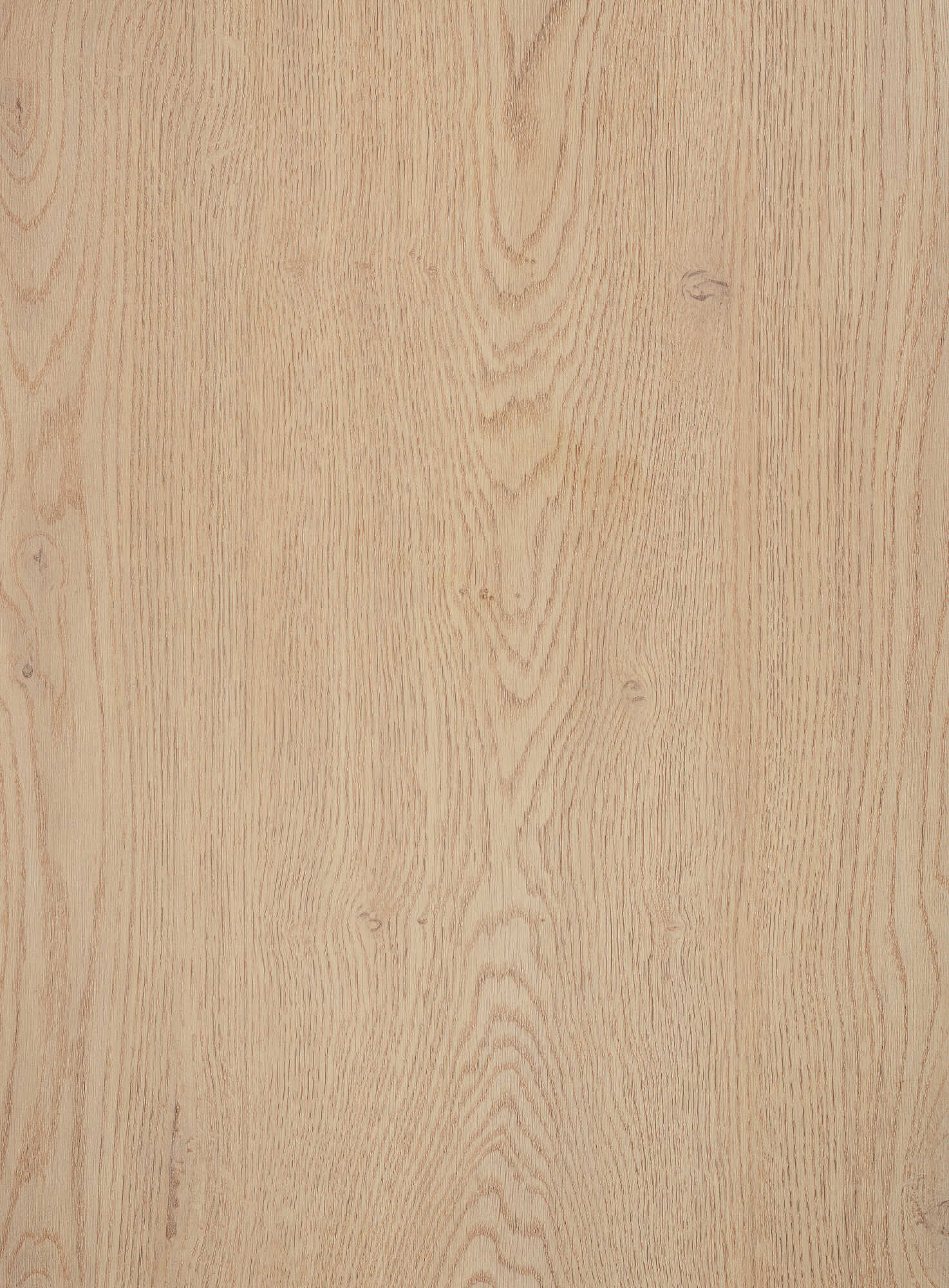 Elvisia Regál do kúpeľne SIMPLE | light oak – Obrázok 10