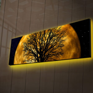 ASIR LED podsvietený obraz MESIAC 30 cm plátno