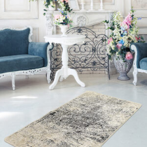 ASIR Koberec 80 x 150 EVIDENCIA sivá