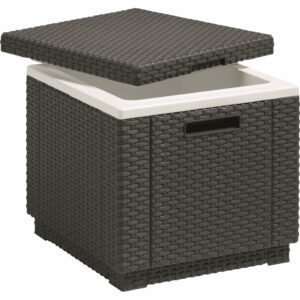 Keter chladiaci box Ice Cube 40 l, grafit